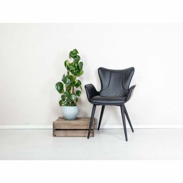 Mist stol-