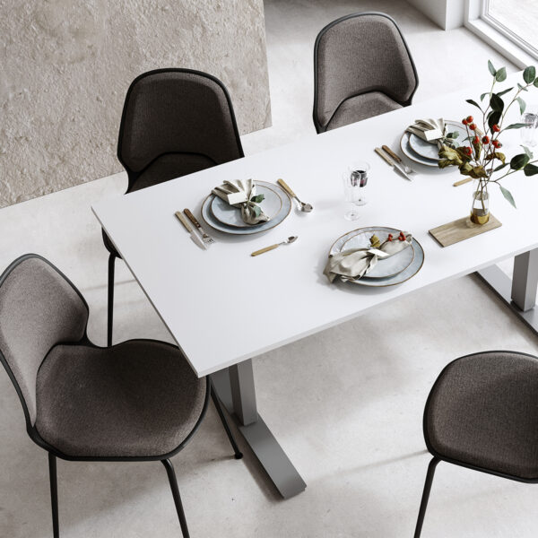 Petra Stol-
