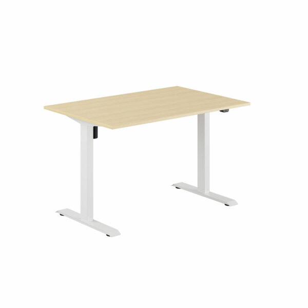 EASY Hæve/Sænkebord m/1 motor 120x80cm-EASY Hæve/Sænkebord m/1 motor 120x80cm  BIRK-HVID