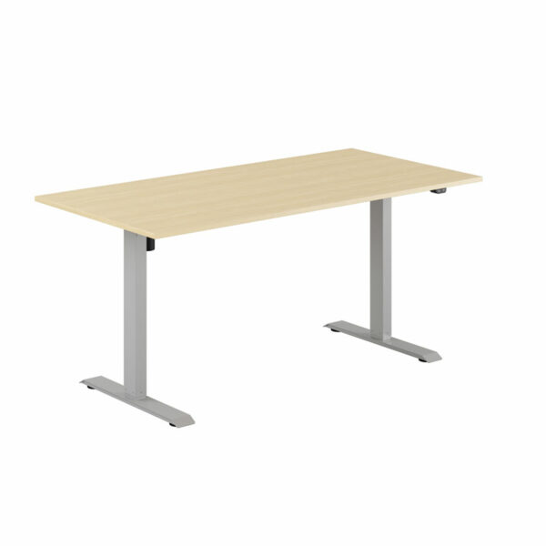 EASY Hæve/Sænkebord m/1 motor 160x80cm-EASY Hæve/Sænkebord m/1 motor 160x80cm  BIRK-GRÅ