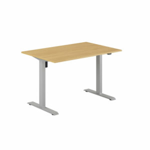 EASY Hæve/Sænkebord m/1 motor 120x80cm-EASY Hæve/Sænkebord m/1 motor 120x80cm  EG-GRÅ