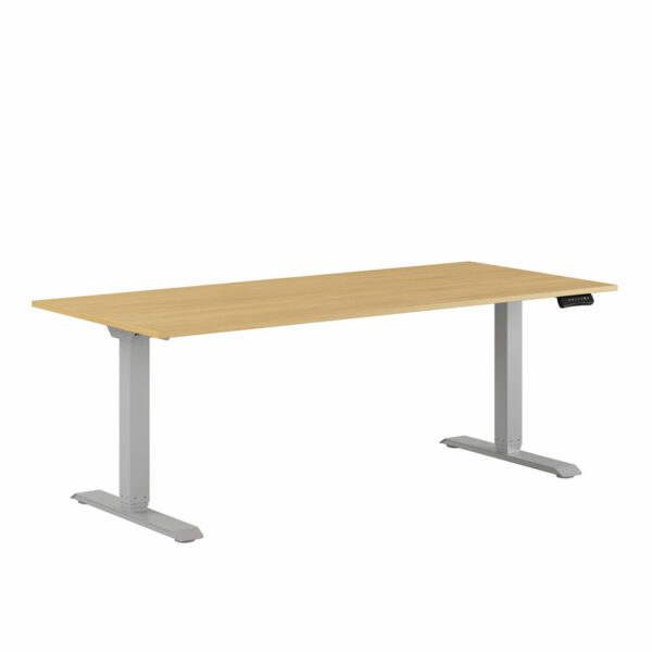 Premium Hæve/Sænkebord m/2 motorer 180x80cm-Premium Hæve/Sænkebord m/2 motorer 180x80cm  BØG -GRÅ