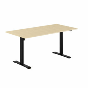 EASY Hæve/Sænkebord m/1 motor 160x80cm-EASY Hæve/Sænkebord m/1 motor 160x80cm  BIRK-SORT