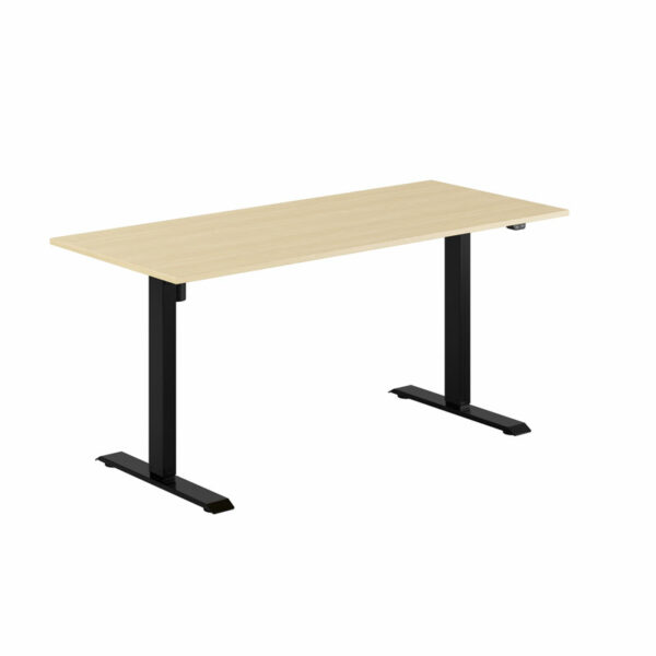 EASY Hæve/Sænkebord m/1 motor 160x70cm-EASY Hæve/Sænkebord m/1 motor 160x70cm  BIRK-SORT