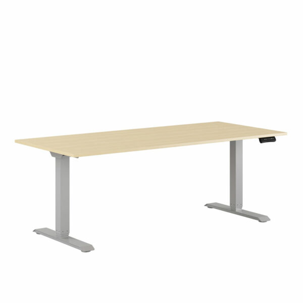 Premium Hæve/Sænkebord m/2 motorer 180x80cm-Premium Hæve/Sænkebord m/2 motorer 180x80cm  EG -GRÅ