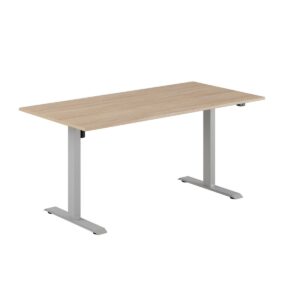 EASY Hæve/Sænkebord m/1 motor 160x80cm-EASY Hæve/Sænkebord m/1 motor 160x80cm  URBAN-GRÅ