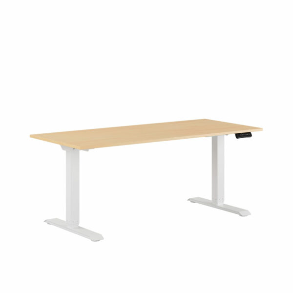 Premium Hæve/Sænkebord m/2 motorer 160x70cm-Premium Hæve/Sænkebord m/2 motorer 160x70cm  BIRK -HVID