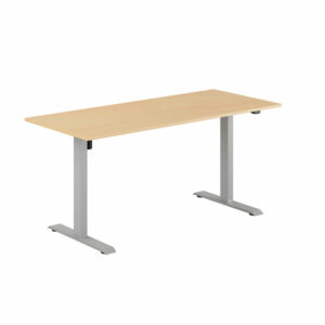 EASY Hæve/Sænkebord m/1 motor 160x70cm-EASY Hæve/Sænkebord m/1 motor 160x70cm  BØG-GRÅ