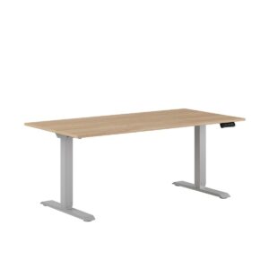 Premium Hæve/Sænkebord m/2 motorer 160x80cm-Premium Hæve/Sænkebord m/2 motorer 160x80cm  URBAN-GRÅ