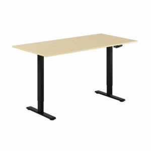 ECO Hæve/Sænkebord manuelt 160x80cm-ECO Hæve/Sænkebord manuelt 160x80cm  BIRK-SORT