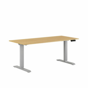 Premium Hæve/Sænkebord m/2 motorer 160x70cm-