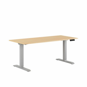 Premium Hæve/Sænkebord m/2 motorer 160x70cm-Premium Hæve/Sænkebord m/2 motorer 160x70cm  BIRK -GRÅ