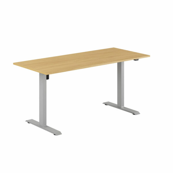 EASY Hæve/Sænkebord m/1 motor 160x70cm-EASY Hæve/Sænkebord m/1 motor 160x70cm  EG-GRÅ