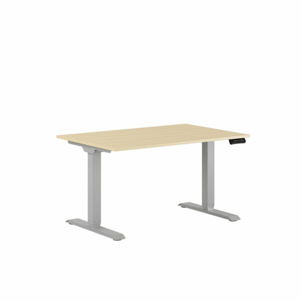 Premium Hæve/Sænkebord m/2 motorer 120x80cm-Premium Hæve/Sænkebord m/2 motorer 120x80cm  EG -GRÅ