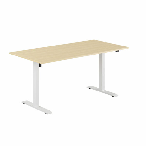 EASY Hæve/Sænkebord m/1 motor 160x80cm-EASY Hæve/Sænkebord m/1 motor 160x80cm  BIRK-HVID