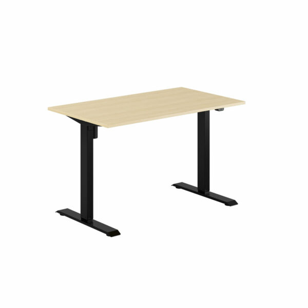 EASY Hæve/Sænkebord m/1 motor 120x70cm-EASY Hæve/Sænkebord m/1 motor 120x70cm  BIRK-SORT