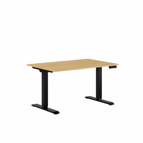 Premium Hæve/Sænkebord m/2 motorer 120x80cm-Premium Hæve/Sænkebord m/2 motorer 120x80cm  BØG -SORT