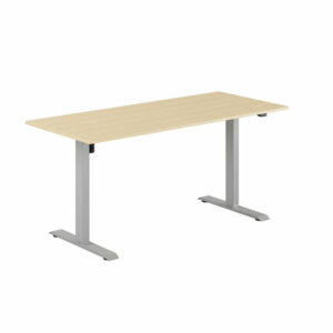 EASY Hæve/Sænkebord m/1 motor 160x70cm-EASY Hæve/Sænkebord m/1 motor 160x70cm  BIRK-GRÅ