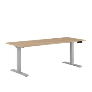 Premium Hæve/Sænkebord m/2 motorer 180x70cm-Premium Hæve/Sænkebord m/2 motorer 180x70cm  URBAN-GRÅ