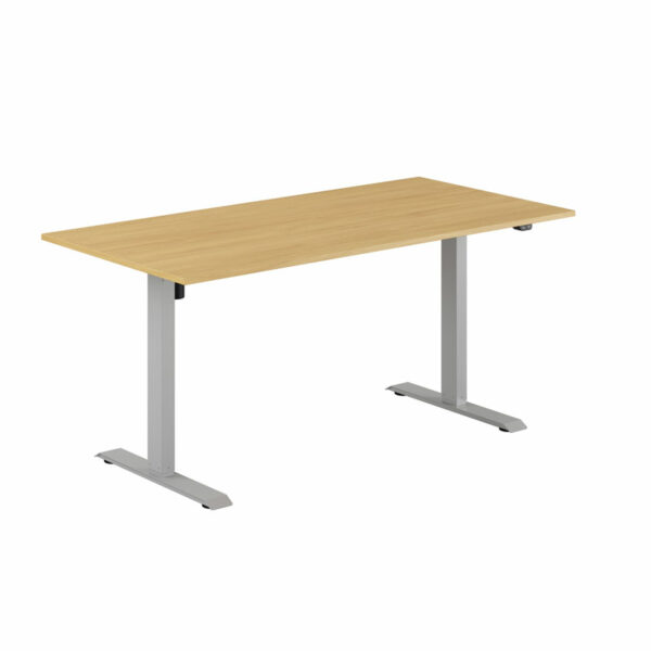 EASY Hæve/Sænkebord m/1 motor 160x80cm-EASY Hæve/Sænkebord m/1 motor 160x80cm  EG-GRÅ