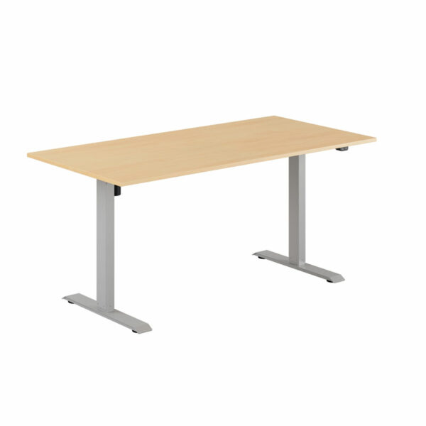 EASY Hæve/Sænkebord m/1 motor 160x80cm-EASY Hæve/Sænkebord m/1 motor 160x80cm  BØG-GRÅ