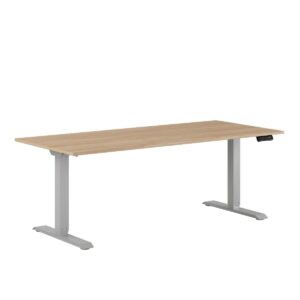Premium Hæve/Sænkebord m/2 motorer 180x80cm-Premium Hæve/Sænkebord m/2 motorer 180x80cm  URBAN-GRÅ