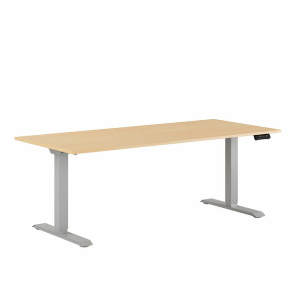Premium Hæve/Sænkebord m/2 motorer 180x80cm-Premium Hæve/Sænkebord m/2 motorer 180x80cm  BIRK -GRÅ