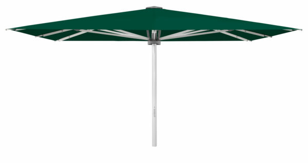 Palazzo Noblesse 500x250cm uten fris - Bilde 2