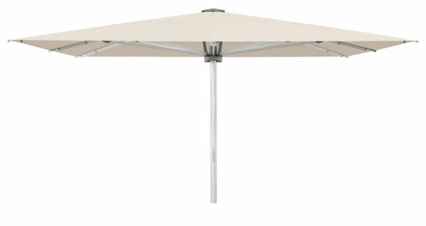 Palazzo Noblesse 550x450cm uten frise - Bilde 2