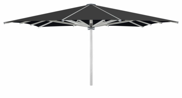 Palazzo Royal 800x400cm uten frise - Bilde 2
