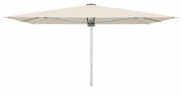 Palazzo Style 350x250cm m/friskant - Bilde 2