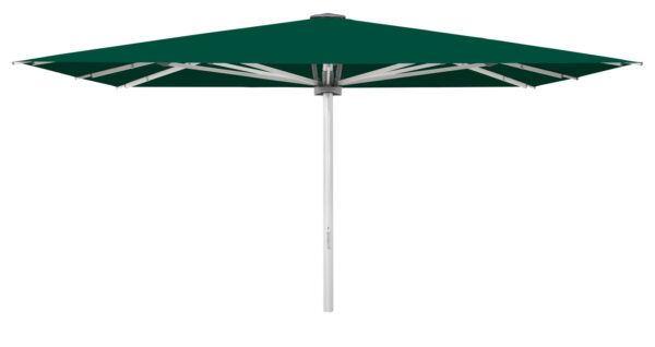 Palazzo Stil 450x450cm m/friskant - Bilde 5