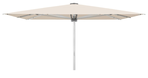 Palazzo Stil 450x350 cm u/friskant
