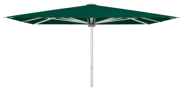 Palazzo Noblesse 500x250cm m/frise - Aloe
